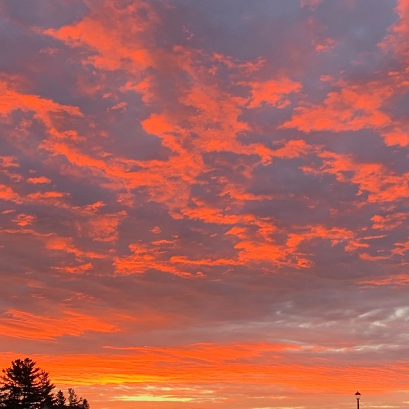 Meet your Posher, Hannah - Picture 1 of 1